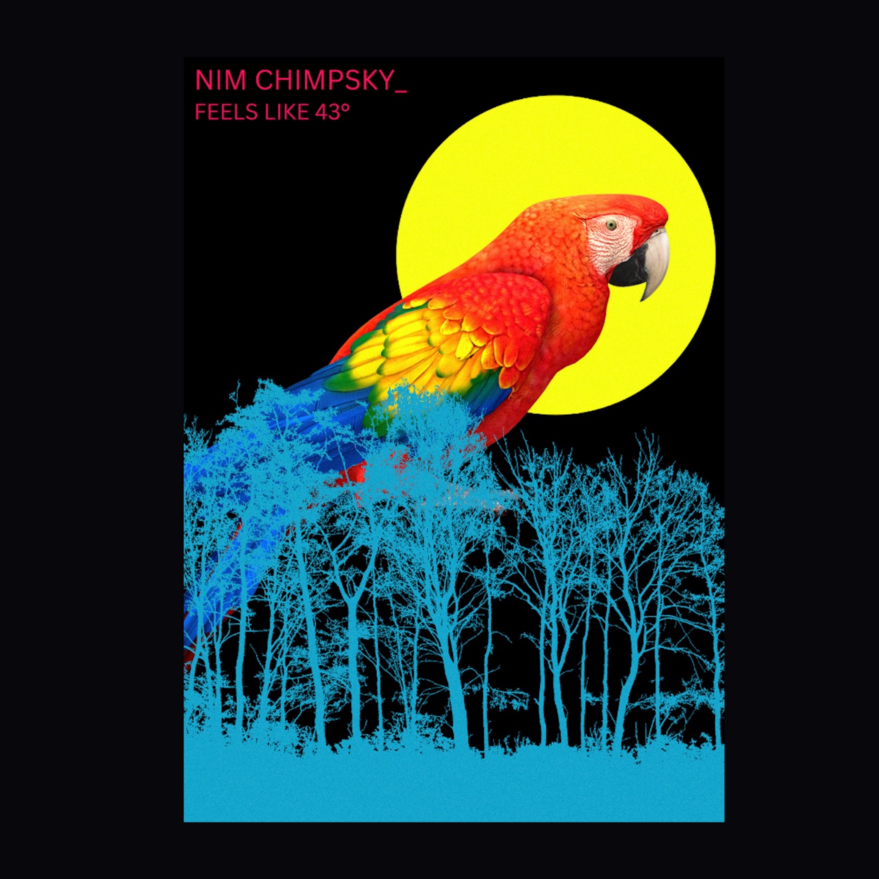 Nim Chimpsky_ – Feels Like 43°